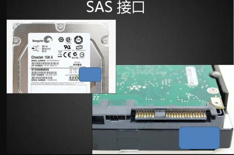 香港服務(wù)器SAS和SATA硬盤有什么區(qū)別?