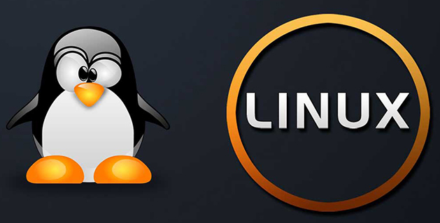 linux怎么ping，LinuxPing的步驟講解