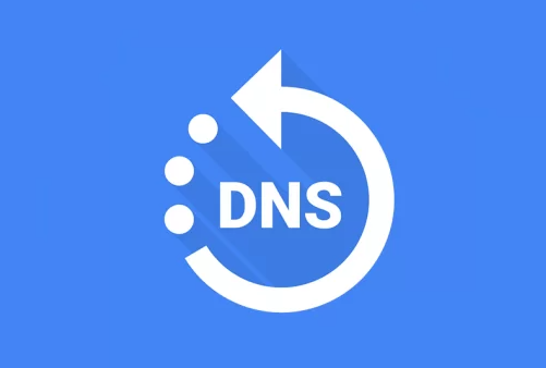 香港DNS解析服務(wù),提升網(wǎng)站訪問速度的重要性