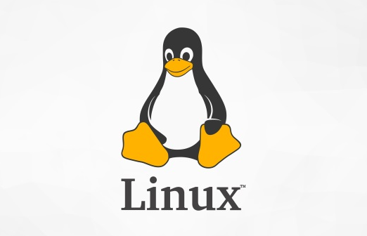 linux云主機(jī)怎么使用，linux云主機(jī)操作教程