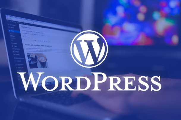 wordpress跨境電商服務(wù)器選擇