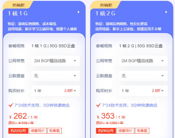 國外的網站服務器多少錢一年